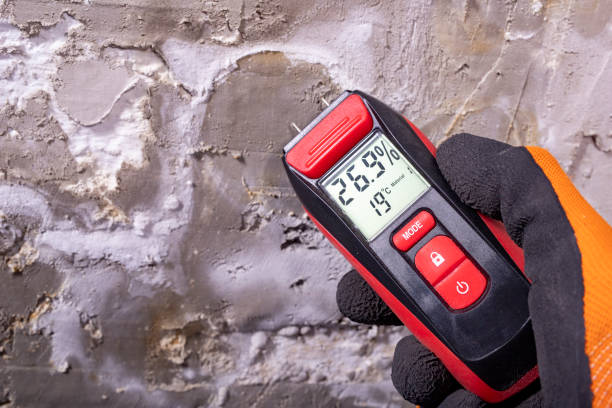 Certified Mold Removal in Oak Harbor, WA