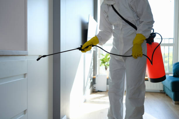 Office Mold Removal Services in Oak Harbor, WA
